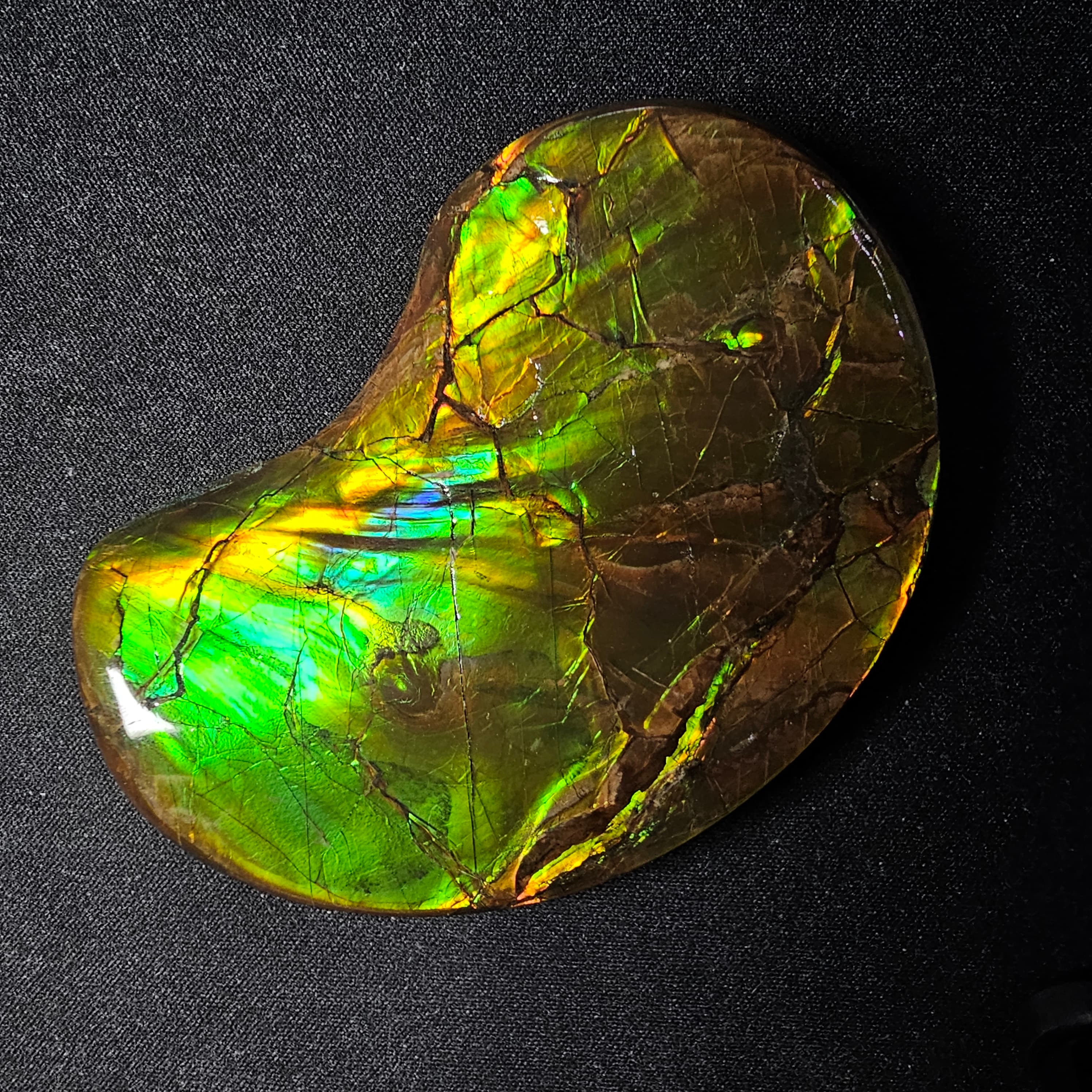 Ammolite Lucky Stone A01