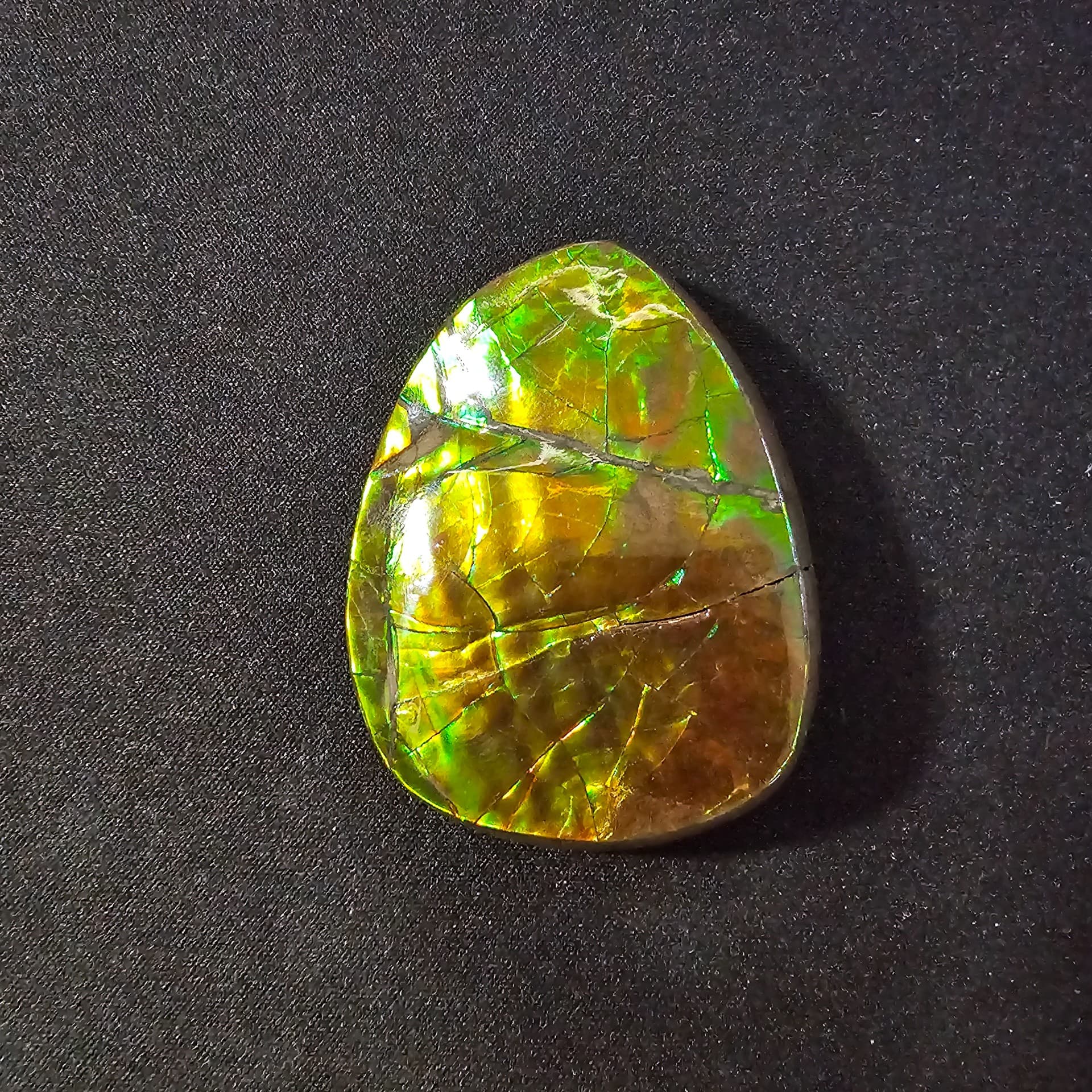 Ammolite Lucky Stone A03