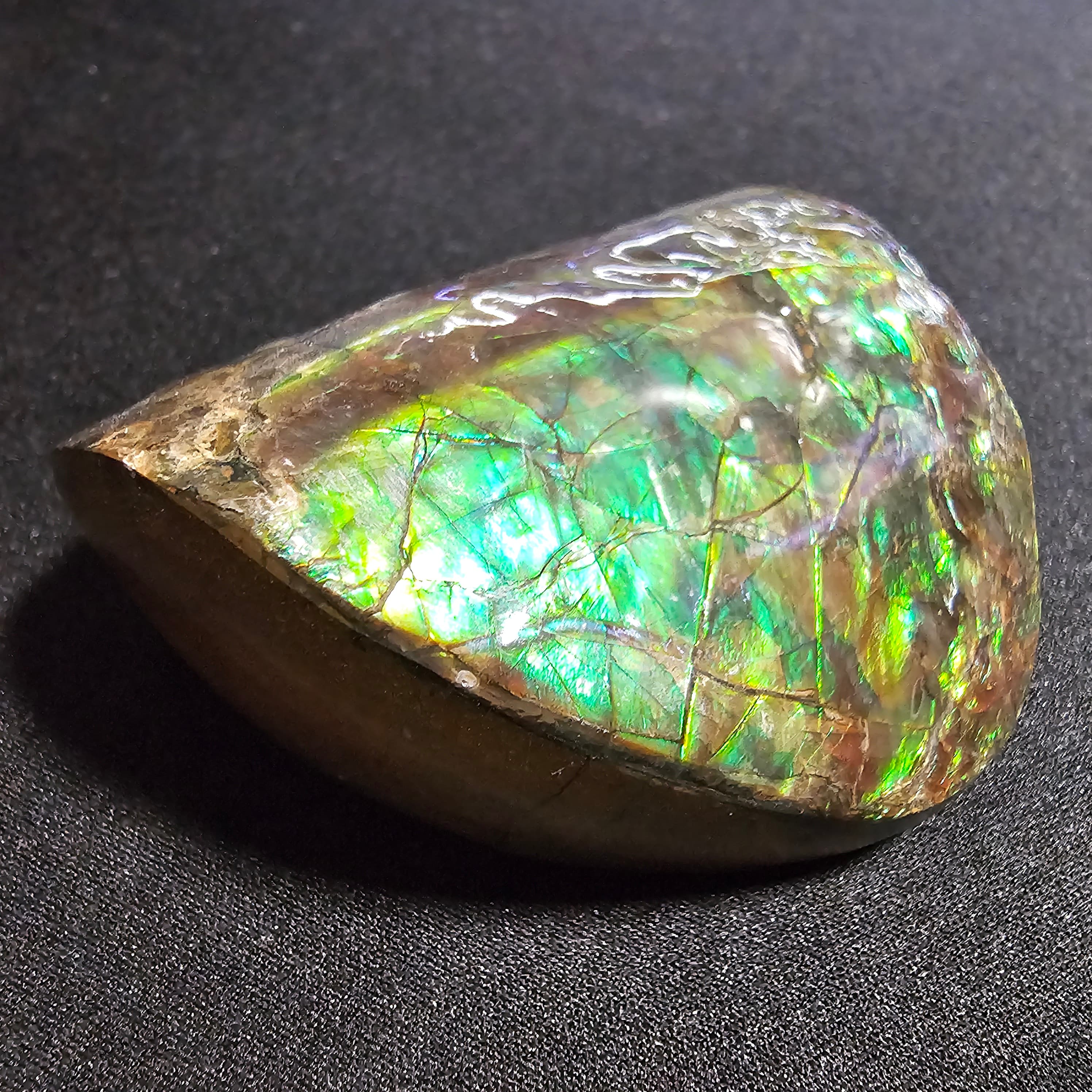 Ammolite Lucky Stone A06