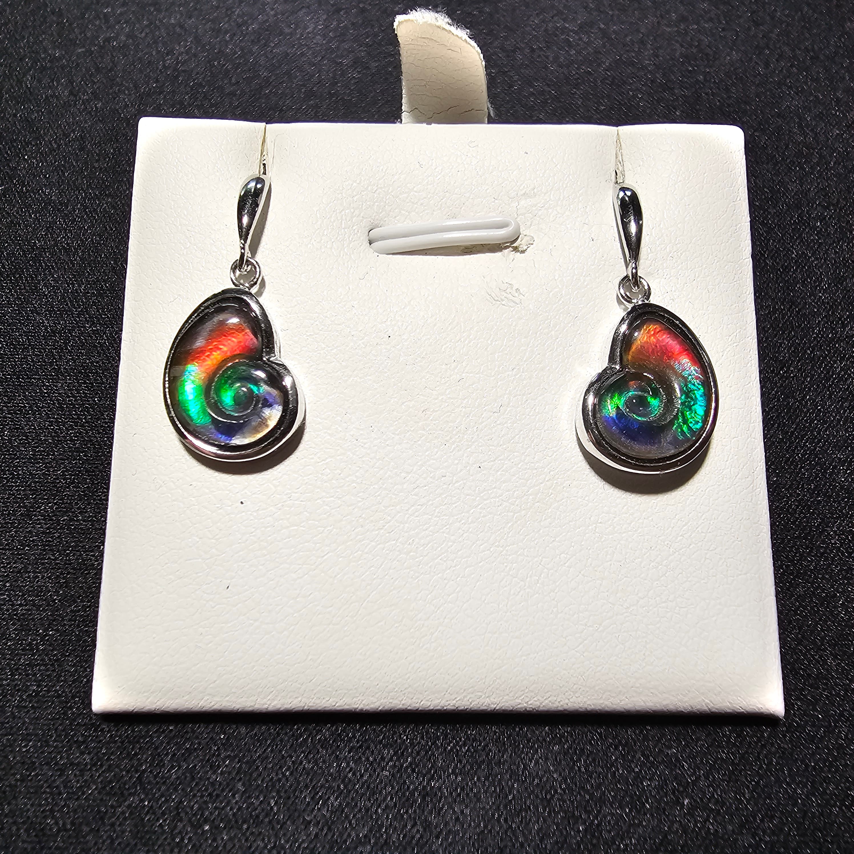Ammolite Earrings - Swirl